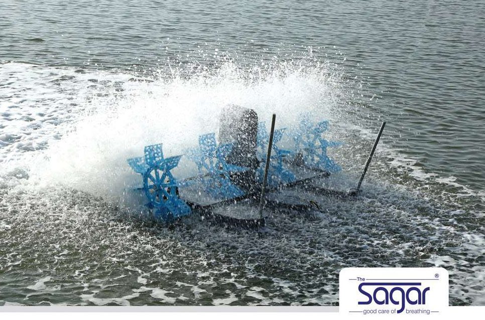 2 HP Sagar pond paddle wheel aerator running in a pond, churning and oxygenating the water