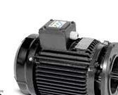 Sagar 2 HP self-cooling electric motor, IP65 rated with CED coating